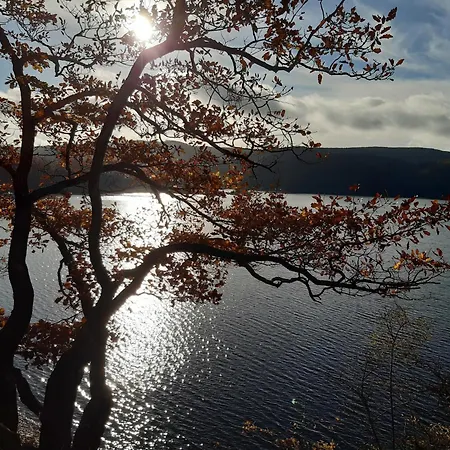 Zeitlos Ferienhaus *